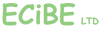 ECiBE small logo